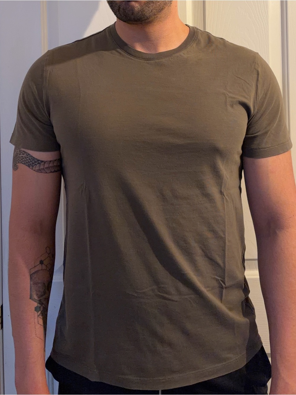 Express Pima Cotton T-Shirt - Picture 5 of 5